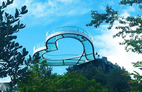 端午假期百里杜鵑游覽須知及攻略 旅行社服務網點旅游招徠指南