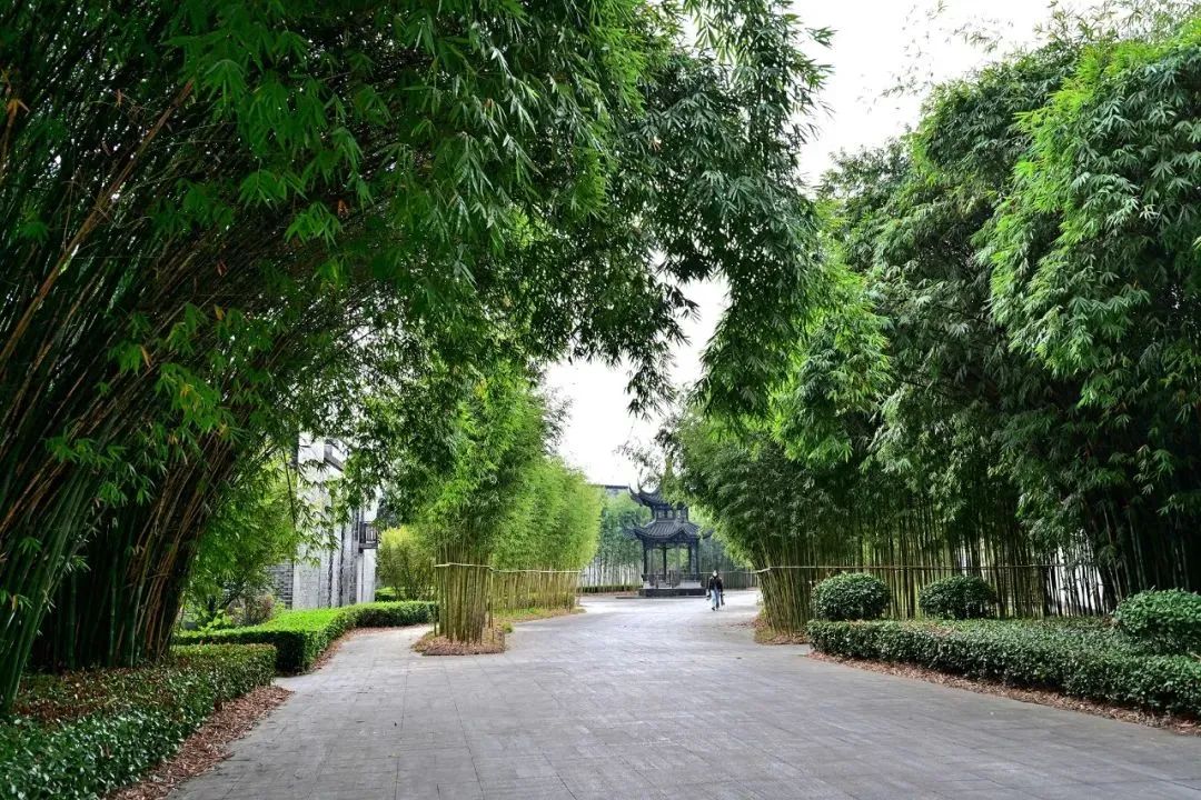 白云邊連續(xù)五年榮登旅行社服務(wù)網(wǎng)點旅游招徠正面清單，彰顯卓越服務(wù)品質(zhì)