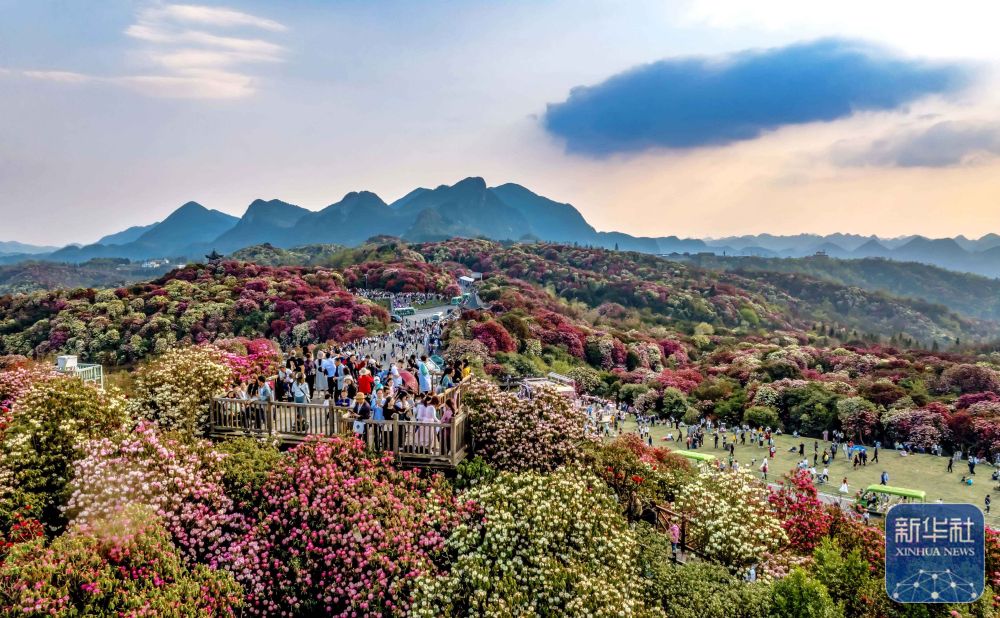 詩意中國丨春日上春山 一場(chǎng)與時(shí)光的溫柔邂逅