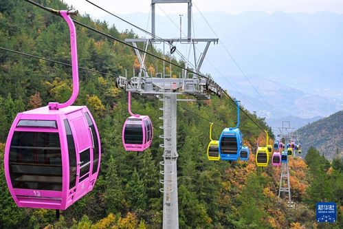 重慶巫山初冬美景引客來，旅行社服務(wù)網(wǎng)點(diǎn)積極招徠